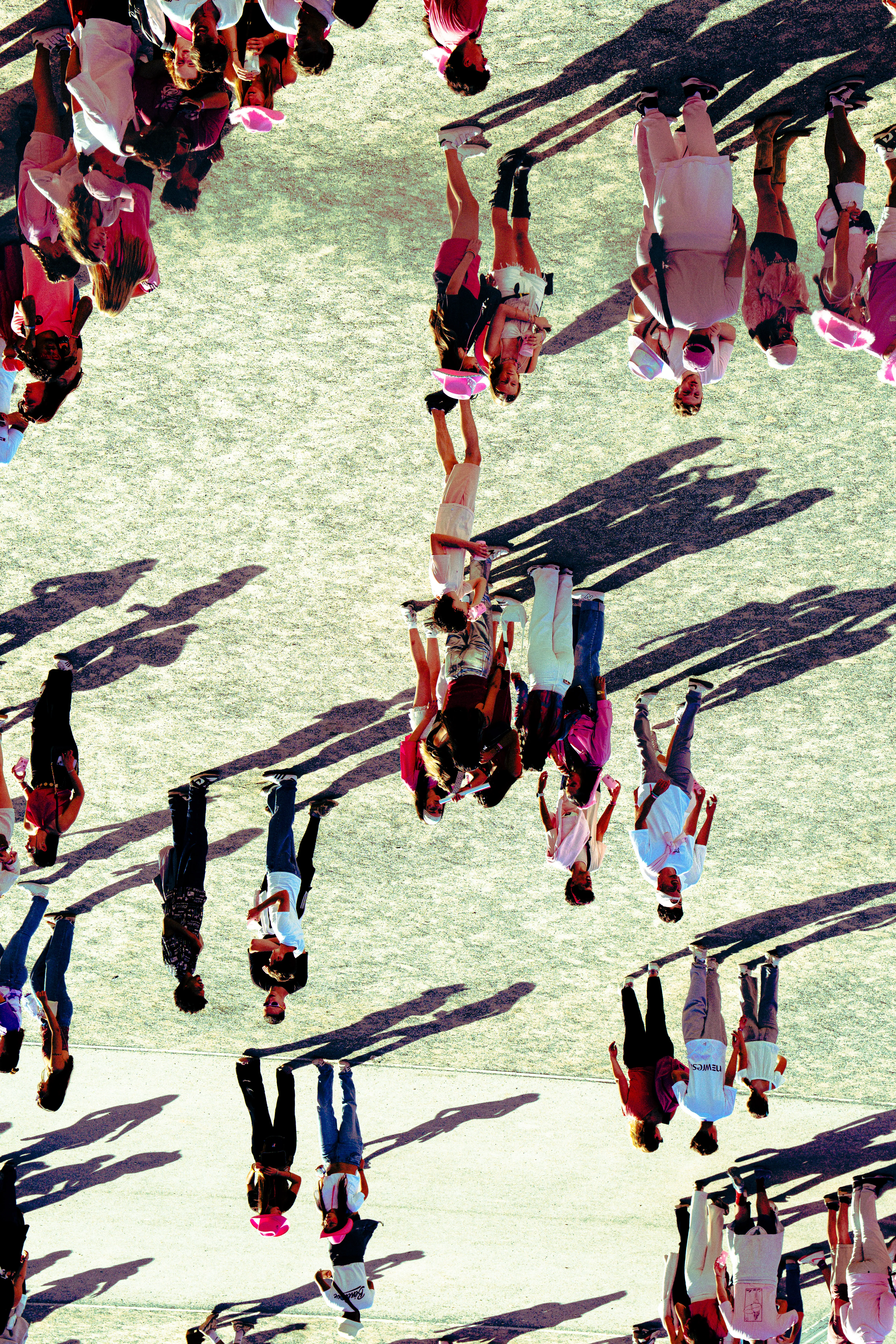 Rose Festival 2025